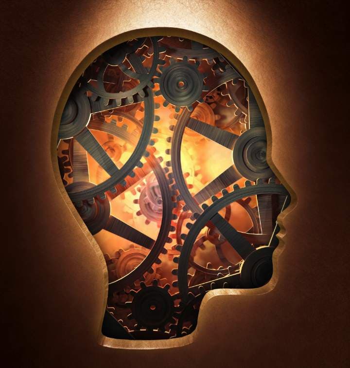 Beyond Skills: Why Hardwiring is the Key to Extraordinary Teams